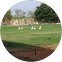 Divya Reddy profile picture