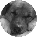 Poornima Chowdary profile picture